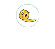 我的网站