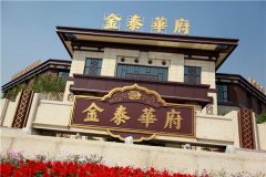 国内案例演示二